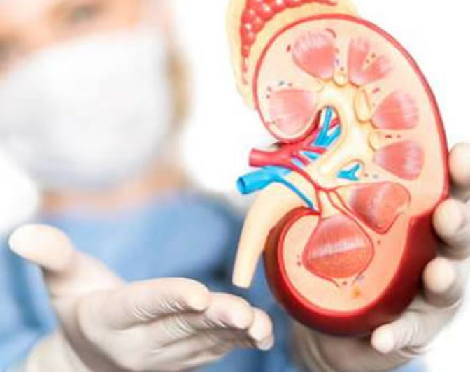 visita urologica racale