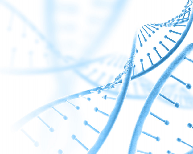 Dieta personalizzata basata sul DNA: il legame tra nutrigenetica e sport